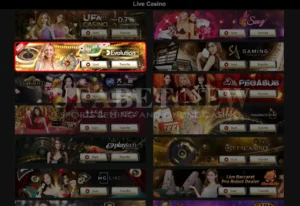 ภาพแสดง การเลือก Evolution Gaming เป็นผู้ให้บริการ